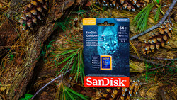SanDisk Outdoors memory card with orange casing displayed on forest floor surrounded by pinecones and evergreen needles.