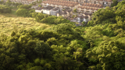 Aerial view of suburban residential houses surrounded by dense green woodland canopy.