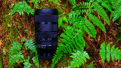 Black telephoto zoom lens positioned on moss and fern-covered forest ground.