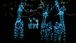 Illuminated wire-frame figures of people and reindeer created with blue and green lights against a black background.
