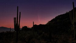 Silhouetted saguaro cacti against a deep purple twilight sky with a comet visible overhead.
