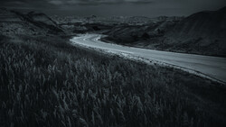 Winding road cutting through dense coniferous forest with mountains in the distance under dark, overcast sky.