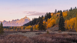 Golden aspens and evergreens frame jagged mountain peaks at sunrise in an alpine valley.