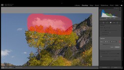 Screenshot of photo editing software showing a landscape image with a red selection mask overlaid on the sky and upper foliage.
