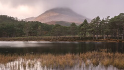 Misty volcano rising above a forested shoreline and still lake at dawn.
