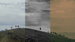 Hillside landscape with scattered trees shown in three different post-processing styles side by side.