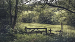 Wooden farm gate in a sunlit pastoral landscape surrounded by dense green trees.