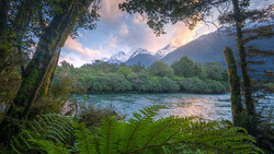 Snow-capped mountain peaks framed by moss-covered trees and ferns overlooking a calm river at dusk.