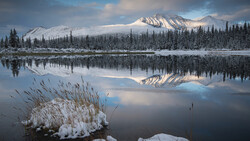 Snow-covered reeds in foreground with mirror-like lake reflecting forested mountains at dawn.