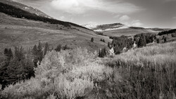 Rolling mountain valley with scattered evergreen and aspen forests under dramatic cloudy sky.