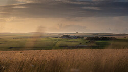 Rolling agricultural landscape with wheat field in foreground and distant hills under dramatic golden-hour sky.