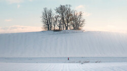 Bare trees on a snowy hilltop against a winter sky, with a solitary figure in the distant snow field.