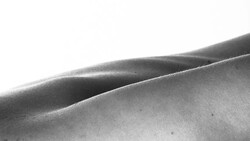 Close-up of smooth, curved surfaces with soft shadows and highlights in black and white.