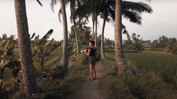 Woman walking on a dirt path between palm trees with rice fields visible in the background.
