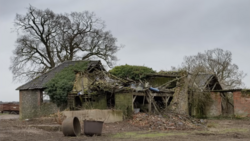 Abandoned stone cottage overgrown with moss and vegetation, surrounded by bare trees and a metal drum in the foreground.