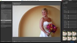 Bride in white strapless dress holding vibrant pink and yellow bouquet against curved golden arch backdrop.