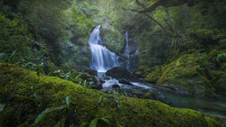 Multi-tiered waterfall cascading through dense moss-covered forest with evergreen canopy.