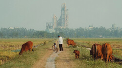 Man with bicycle standing among grazing cattle on a rural dirt path, with industrial structures visible in the hazy distance.