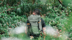 Hiker wearing a green and black backpack walking through dense green vegetation on a narrow trail.
