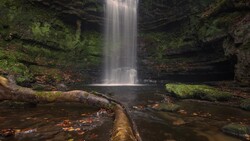 Waterfall cascading into a pool surrounded by moss-covered rocks and fallen logs in a forested ravine.
