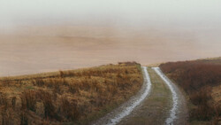 Dirt road stretching through misty moorland with golden-brown vegetation under overcast sky.