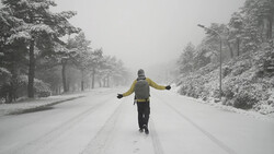 Runner in yellow jacket jogging down a snow-covered tree-lined road with arms outstretched.