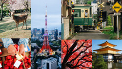 Collage of nine photographs showcasing Tokyo urban and natural scenes, including deer, cherry blossoms, street food, Tokyo Tower, and traditional architecture.
