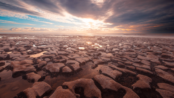 Vast mudflat landscape with intricate cracked patterns under dramatic golden sunset sky.