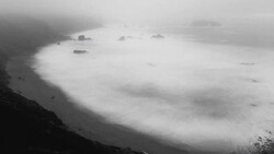 Aerial view of a coastline shrouded in dense fog, with dark forested slopes and scattered buildings barely visible through white mist.