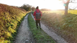 Hiker in red jacket walking away on a rural dirt path between hedgerows at golden hour.