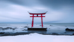 Red torii gate standing in shallow ocean water with snow-covered beach and rocky coastline.