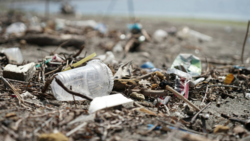Discarded plastic cup and debris scattered on sandy ground with blurred waste in background.