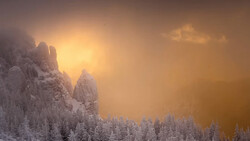 Snow-covered evergreen trees silhouetted against a golden sunrise breaking through mountain peaks.