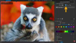 Screenshot of photo editing software showing a lemur with golden eyes and soft fur against a warm, blurred background.