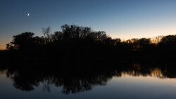 Silhouetted treeline reflected in still water at dusk with a crescent moon visible in the blue sky.