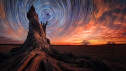 Gnarled tree stump silhouetted against a vibrant orange sunset with star trail arcs overhead.