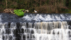 Multi-tiered waterfall cascading over dark rocks with silky water effect and bare trees lining the banks.