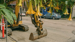 Yellow excavator with bucket attachment parked in lot with tropical plants overhead and vehicles in background.