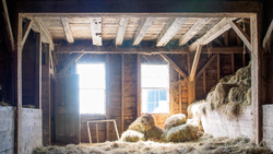 Interior of a rustic wooden barn with bright natural light streaming through open doors, hay bales stacked on the floor.