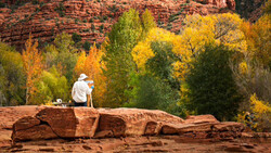 Person sitting on a large red rock overlooking a canyon with autumn foliage in the background.