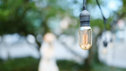 Vintage Edison bulb with glowing filament suspended from cord against blurred green foliage and white tent backdrop.