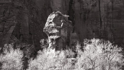 Tall rock formation rising above sparse desert vegetation against towering canyon walls.