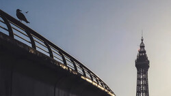 Silhouetted bird perched on a bridge railing with an ornate tower in the background at dusk.