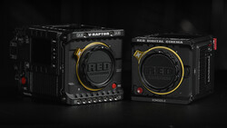 Two professional digital cinema cameras with black bodies and gold-accented lens mounts displayed against a dark background.