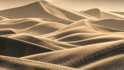 Undulating sand dunes with dramatic warm lighting and deep shadows creating sculptural forms.