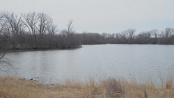 Bare trees line the far shore of a wide, calm lake under overcast winter sky.