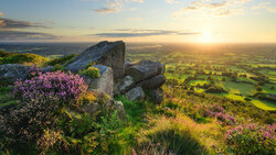 Rocky outcrop with purple heather flowers overlooking a sunlit valley at golden hour.