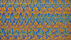 Abstract stereogram pattern with repeating golden leaf shapes layered across vibrant blue and green background.