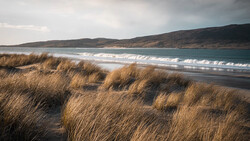 Golden dune grass frames a sweeping beach with breaking waves and dark hills beyond.