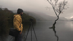 Photographer in yellow jacket operating tripod-mounted camera beside solitary tree reflected in still lake.